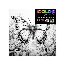 butterfly.webp