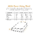 bible bag chart.webp
