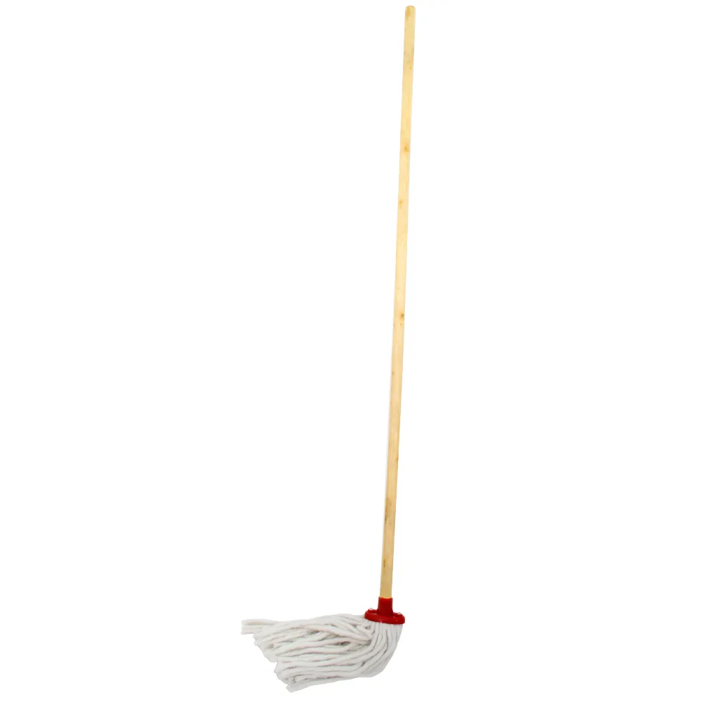 [6003789086795] RB Budget Mop Complete