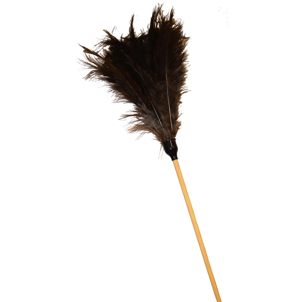 Feather Duster Chic