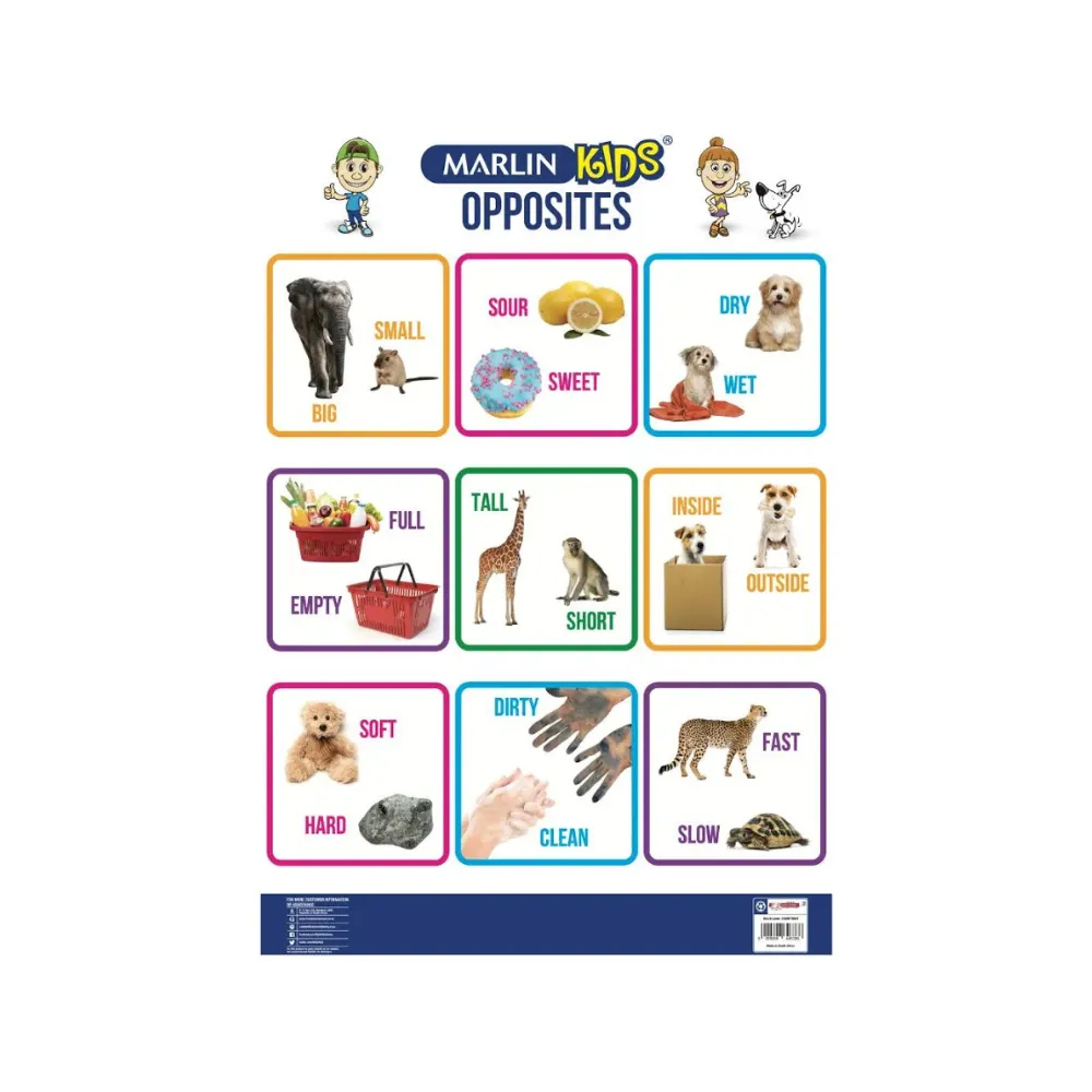 Chart Kids Opposites - Marlin 