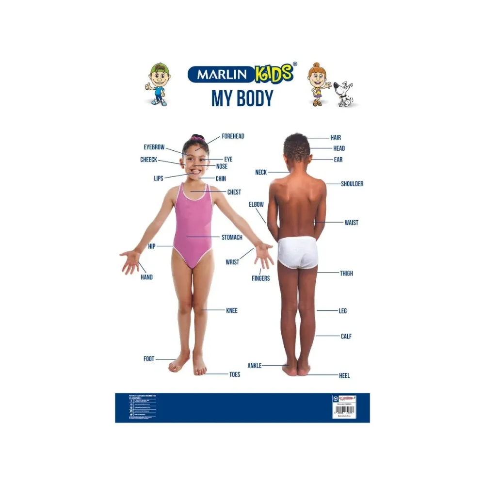 Chart Kids My Body - Marlin 